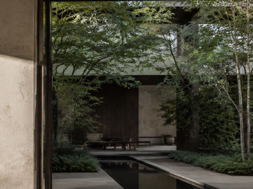A garden within walls